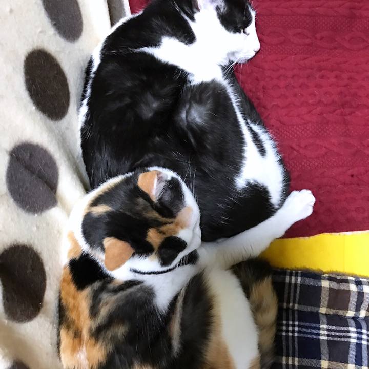 32b73126 6a03 48ad a24b 401be7d15acc