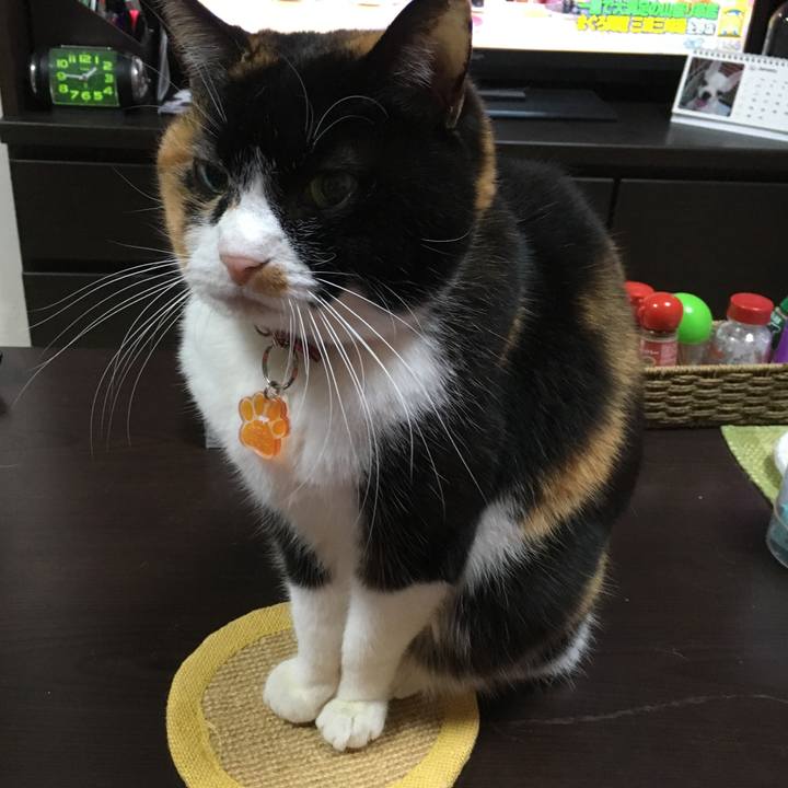 32b7495a a63d 459b a444 49530aabe106