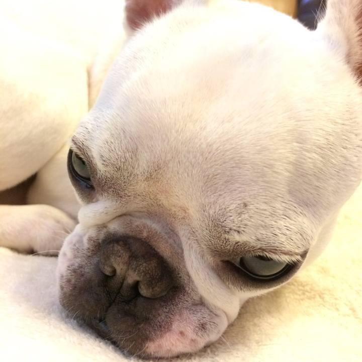 32b79aa6 503b 4c19 b68c 88f877763ef5