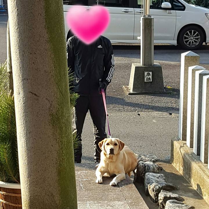 32b80c4e b9c4 4c17 a521 787cd5465306