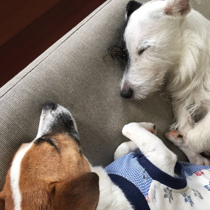 32b8e65f 0a14 409b 900f 0d6e761030c0