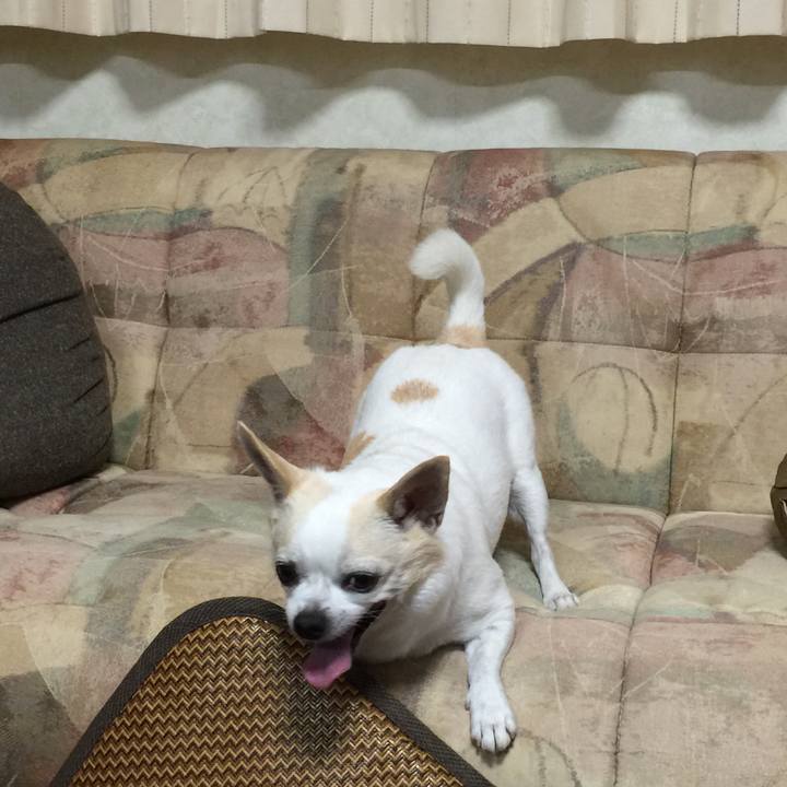 32b924b9 a3b9 4bd8 84a6 ac1bc1f05a6c