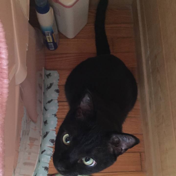 32b968c5 7ef2 4565 bfa5 f85814e72761