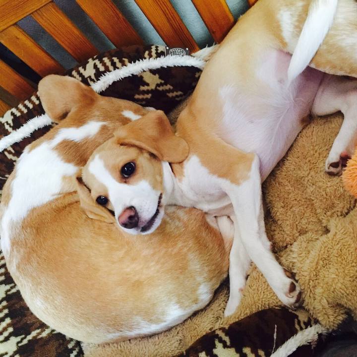 32b9eec0 39fb 458c bacc c5006f008d7c