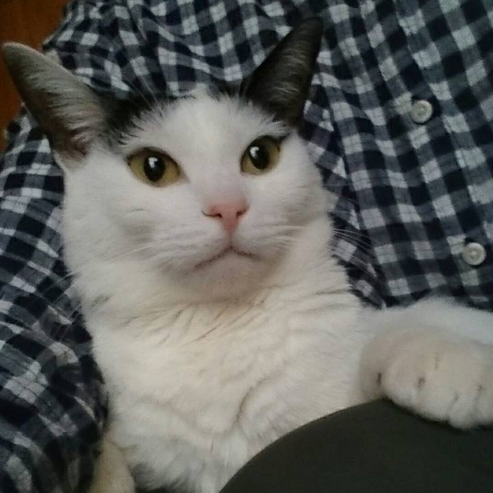 32babbcd 1ccc 4f69 a5cf 3b20a5ba367b