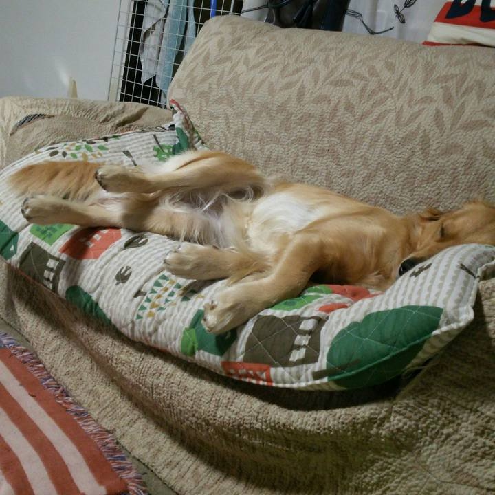 32babc8c 604c 47df a028 fa0bf6aff63e