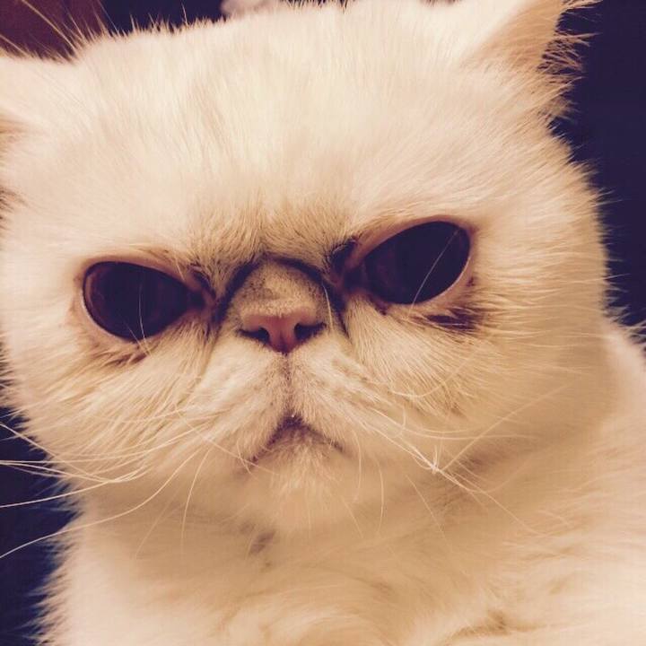 32bacea9 c0e3 473d bd18 52b5ee8956e7