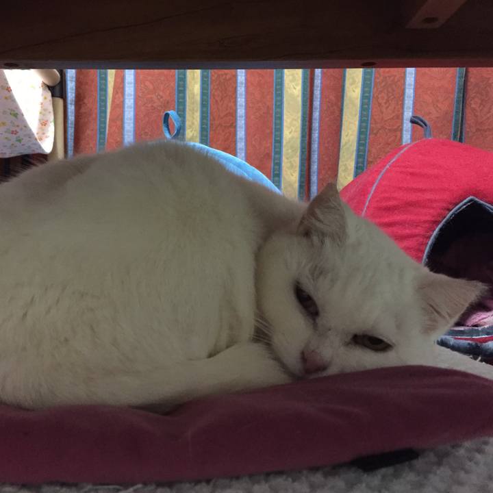 32bb06f0 c795 488e 92e0 2fb3672ba31b