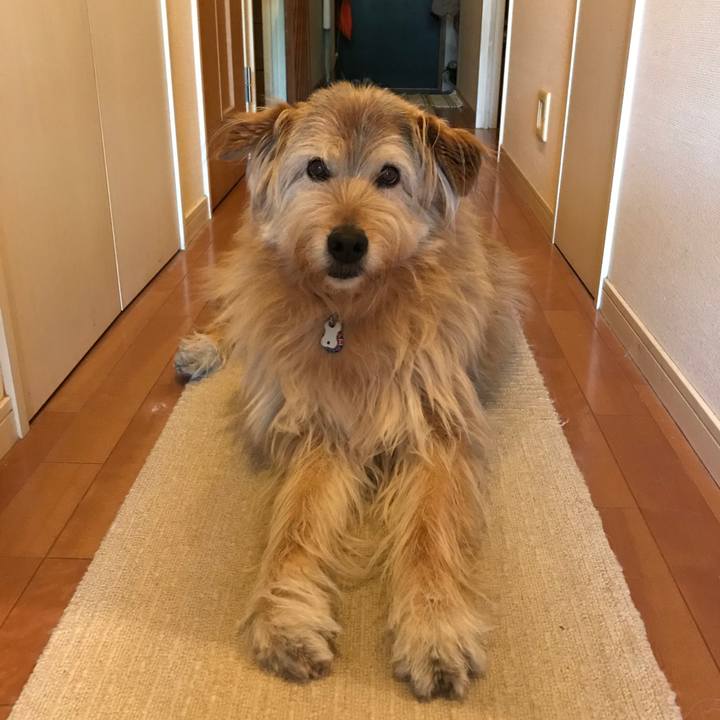 32bb6504 ecaa 4d82 9482 31863e02030d