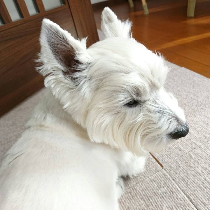 32bbdb24 282a 4ed6 9afc b5c99faf5e1c