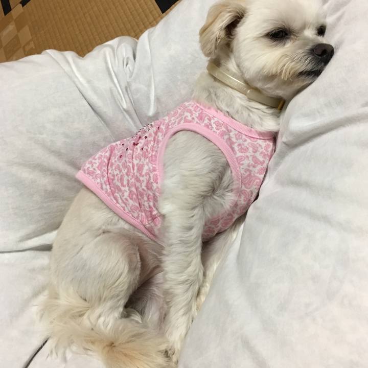 32bc6a15 8157 4bd8 a67e 361be23186c4