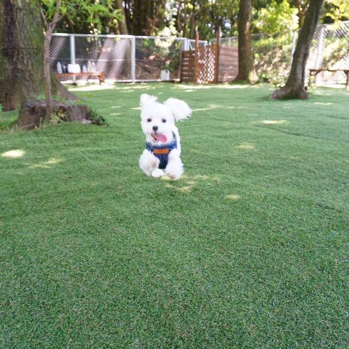 32bcce33 b965 4352 acf9 3c560834c0d8