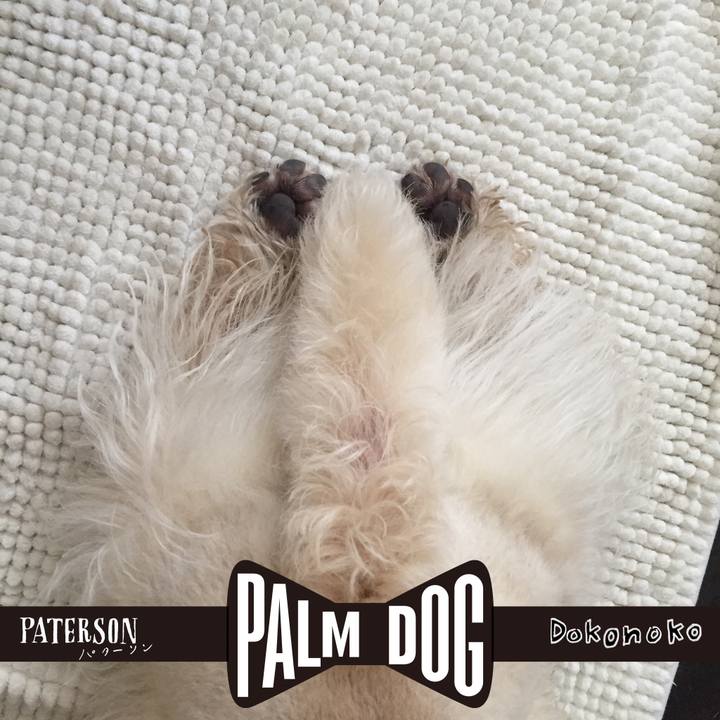 32bd5a89 d0a4 4f8e 9708 37f534eee357