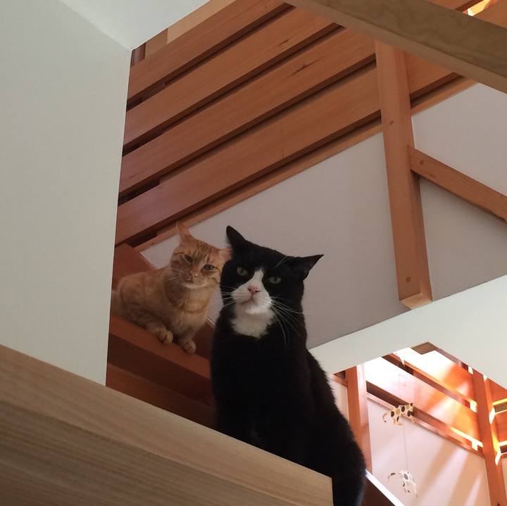 32be18be f93d 4272 b9ad a51828a10465