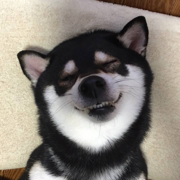 32beb42c 07a7 479a 81b1 832d338e2767