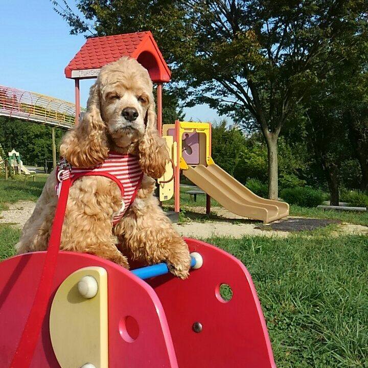 32becd16 19bb 447b 8916 a90419e341be