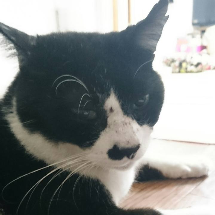 32bf160c a589 40ac 9fc6 b76d63e9e240