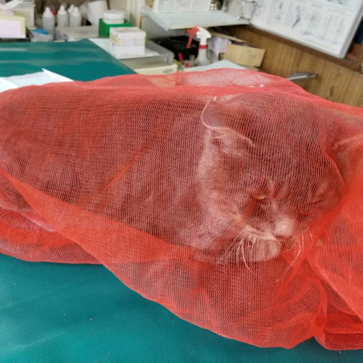 32bf9024 b785 49df 8d0e 9efe7d17c9d1