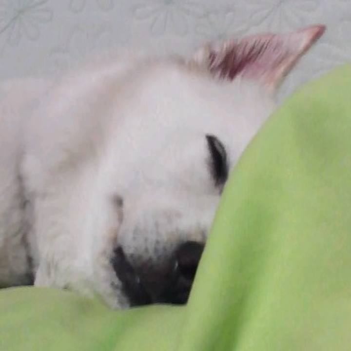 32c01256 f2af 4377 bbbb fe07803a9720