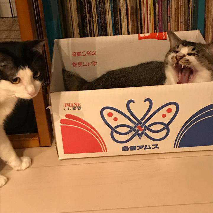 32c07ae3 d1ec 4199 ae6c 54cb4e35cb33