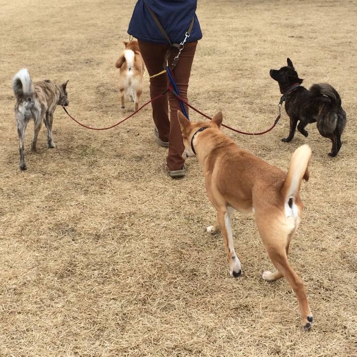 32c14da3 fe2e 4bf2 87b7 78d0f080522d