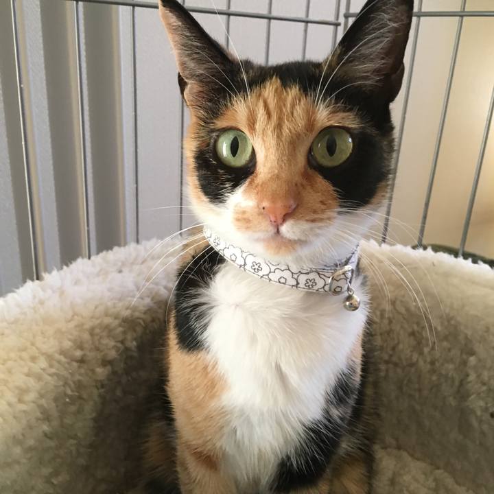 32c19852 59b8 47f3 aa73 34fed8e91bda