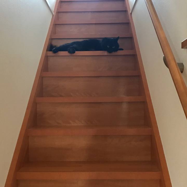 32c19f1c 9bb6 429e bcad 1820009f348f