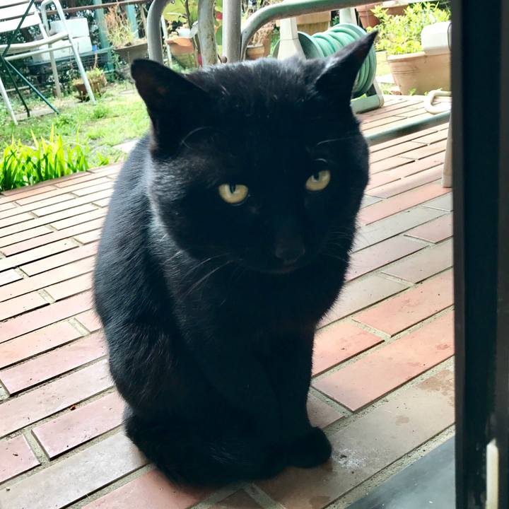 32c21670 4f8d 4321 9a3d 8f7d9b2150e9