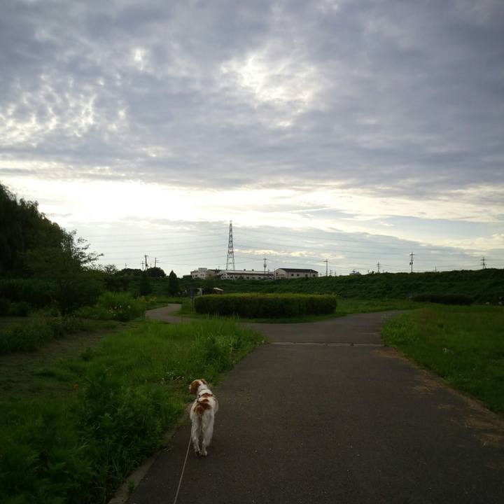 32c2300b 8f6d 4e9d bb66 d3c9c8e84584