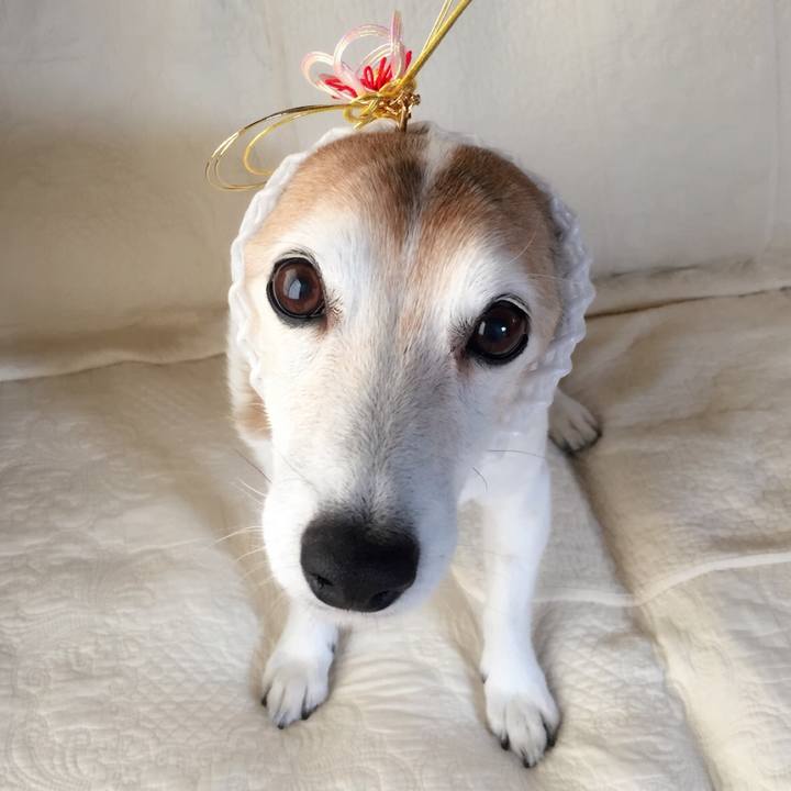 32c32d6b 0dbd 43d2 9a83 a815b9a69e7d