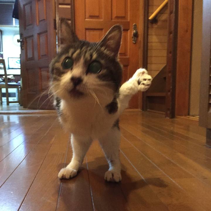 32c3b01c 2538 4d47 9c9e 7d1df810ba77