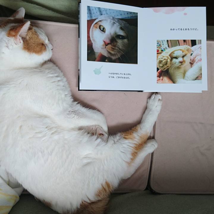 32c3fc84 ea06 4dc9 8e10 9fd6b8d2738f