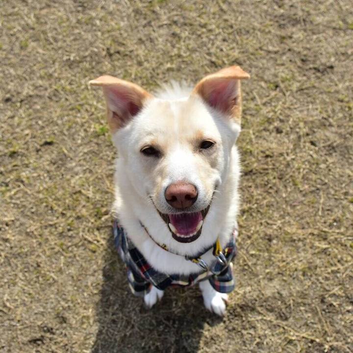 32c4f4a4 880b 4f8a 85a9 98f37a148716