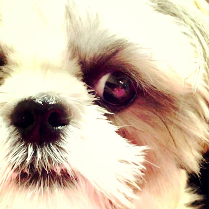 32c4ff5f 3290 4fb4 946f e585adf4c9f1