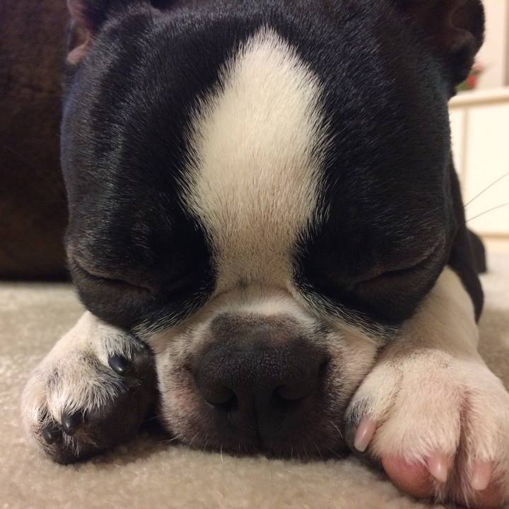 32c60ff4 d5ac 43fd b857 4bb4b3e7be48