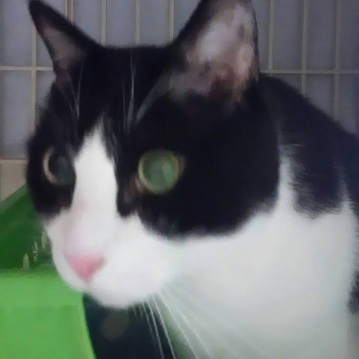 32c62266 e5da 47ea a907 3656b18b3590