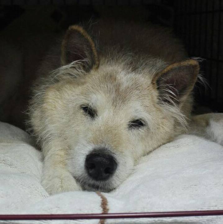 32c62d82 dcb8 43ab 8d35 ddd5a56fdba6