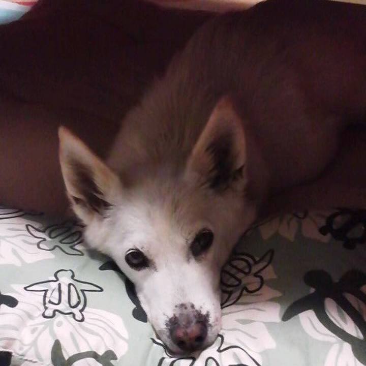 32c66950 7e53 4486 937a efd9bc1c3a99