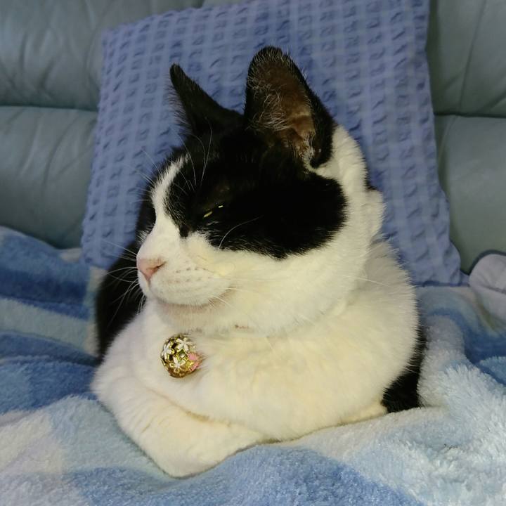 32c7bac0 01ae 4083 be0a 17f68a9cde9a