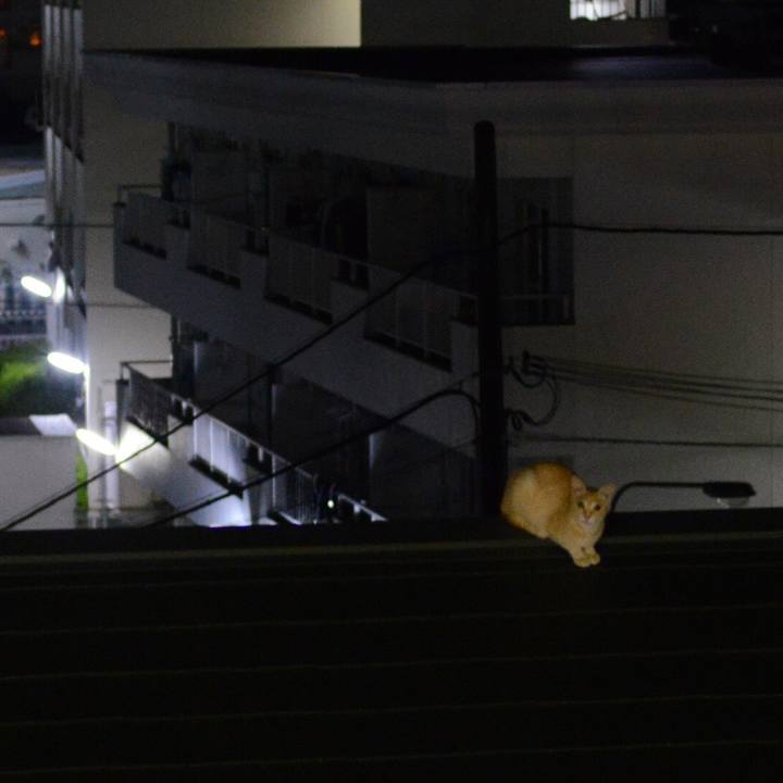 32c8f3a3 4ea4 43a1 b21b bfcf26fe640d