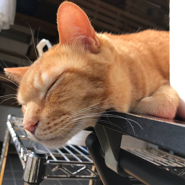 32c9177e ad53 4d28 8c81 55d9f10b4a94