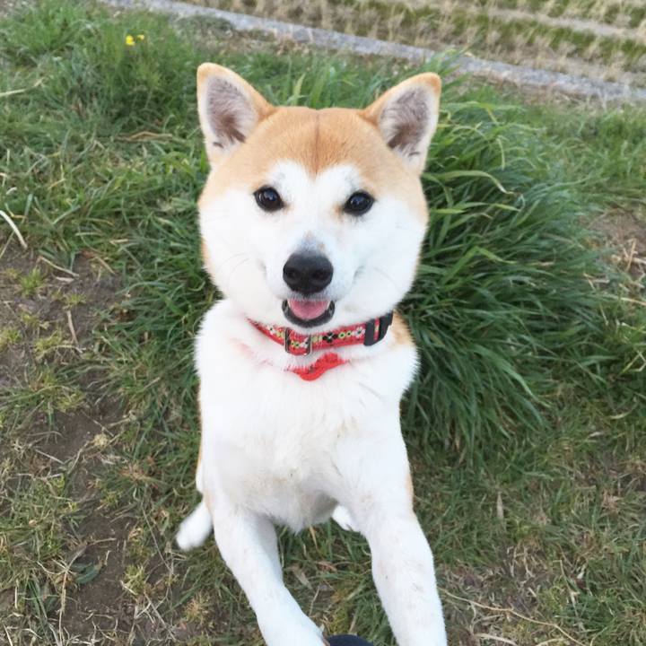 32c9312e 807d 4c07 abc8 53b96071558e