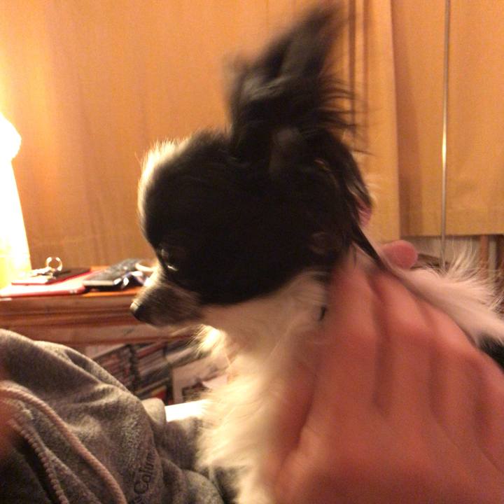 32c9f788 34ed 4b8b 82e3 3c43009a20ea