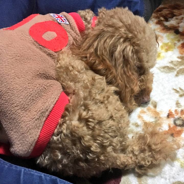 32ca2a02 8508 4fdb a917 4032a39f6f93