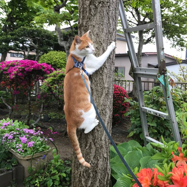 32ca6c2a 527e 459b 8d03 e0e2500c00cb