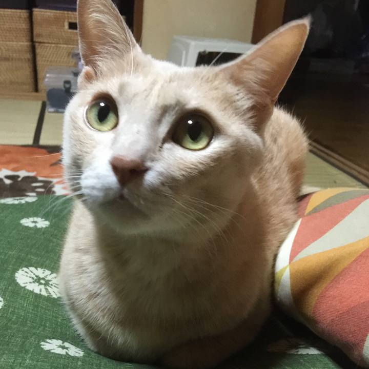 32cb27a5 45c2 4bbf a537 fec8978d8c12