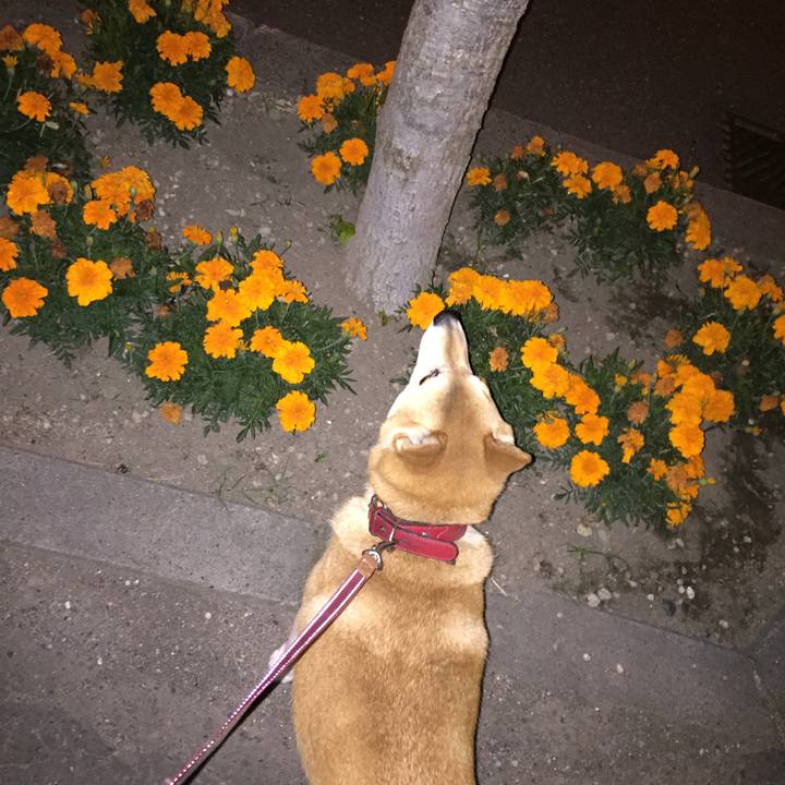 32cb3c04 b0df 4c10 91b0 51f5bfa6e767