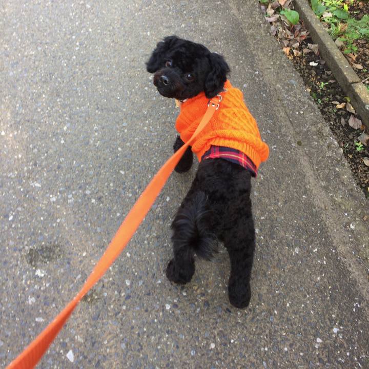 32cb9c66 5415 4b2e 8041 18b2a9717f68