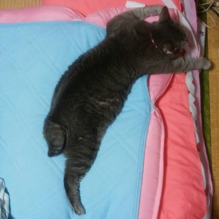 32cb9db9 0197 443a b80d 975b883e624f