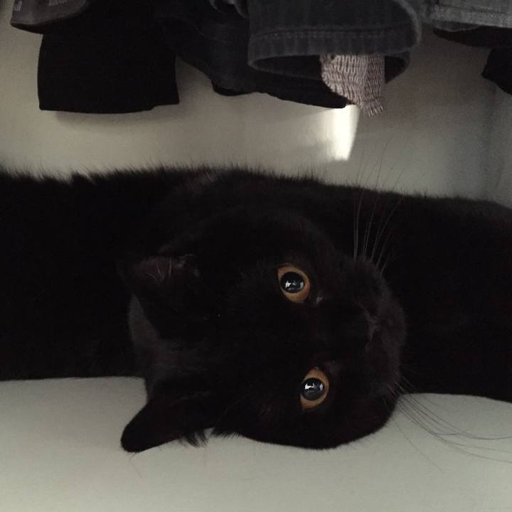 32cb9f86 a4e9 44d9 a3c4 a0272e833e31